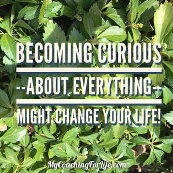My Coaching for Life: “Becoming curious about everything might change your life.”  Be curious, be open, be a life-long learner; growth always comes out of these moments of exploration -big or small.    #itsapracticenotaperfect #Growth #LIVEyourBestLife #LifeCoaching #ToolsandPractices #MyCoachingForLife #DontStopExploring #Wonder #Wander #StepOutsideYourself